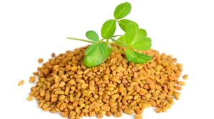 Kozieradka na włosy – jak działa i jakie przynosi efekty stosowania?