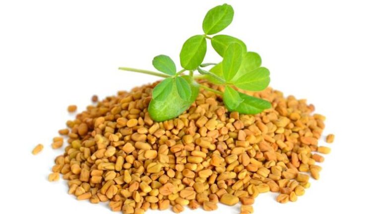 Kozieradka na włosy – jak działa i jakie przynosi efekty stosowania?