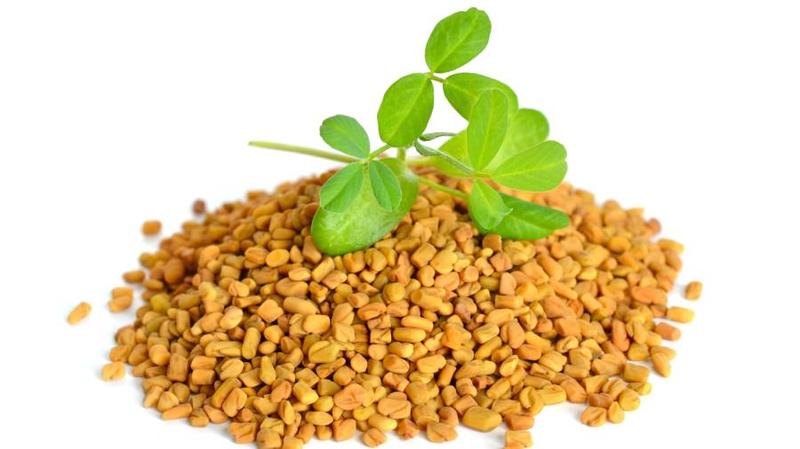 Kozieradka na włosy – jak działa i jakie przynosi efekty stosowania?