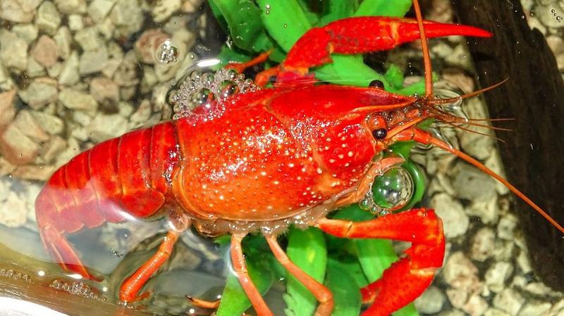 Profilaktyka onkologiczna i prewencja