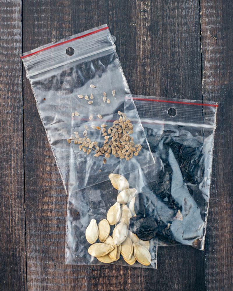 Temperatura i wilgotność nasion konopi