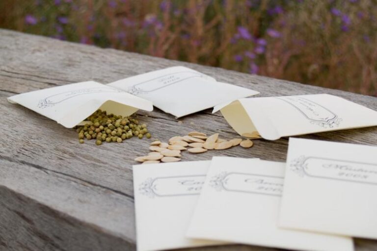 Jak zapewnić długotrwałość nasion marihuany? Sprawdzone metody przechowywania