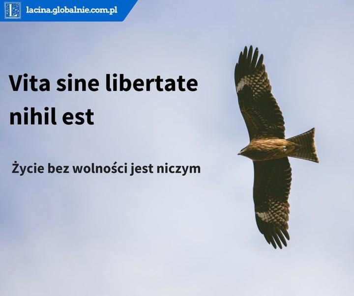 Odkryj moc lacinskich cytatów: 18 inspirujących mądrości życiowych, które zmienią twoje myślenie