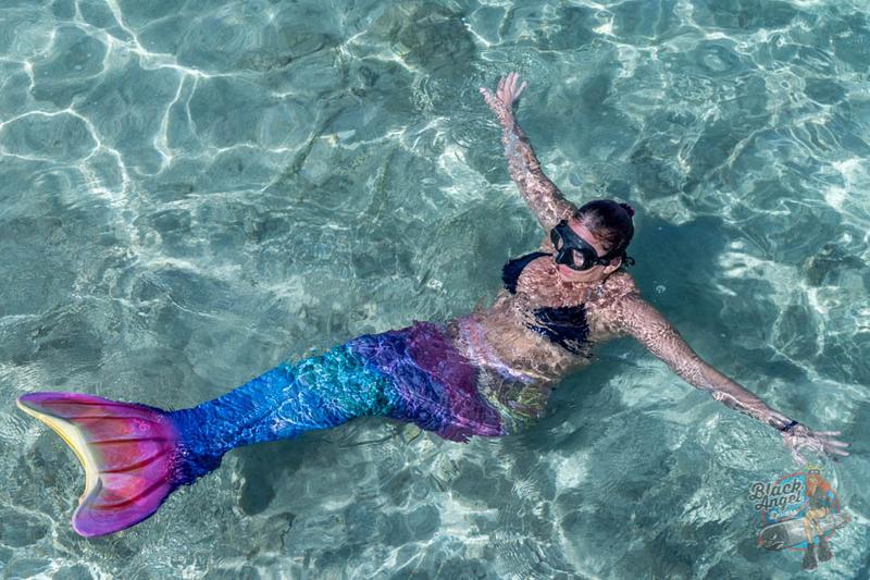 Uprawa syreningu w ogrodzie