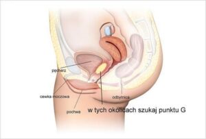 Gdzie naprawdę znajduje się punkt G: psychologia mężczyzn w praktyce