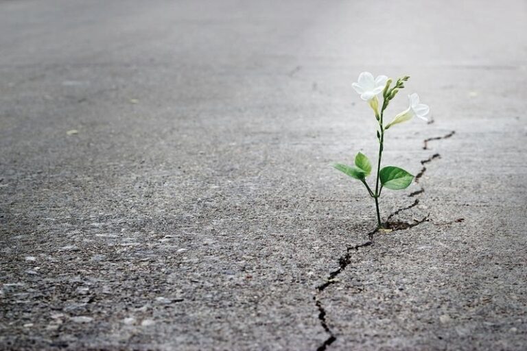 Jak powinna postępować żona alkoholika, aby odzyskać nadzieję i siłę?